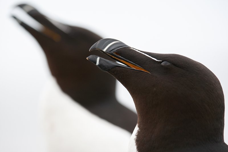 5f0b5910-621c-42d5-a37c-2e255445bf61