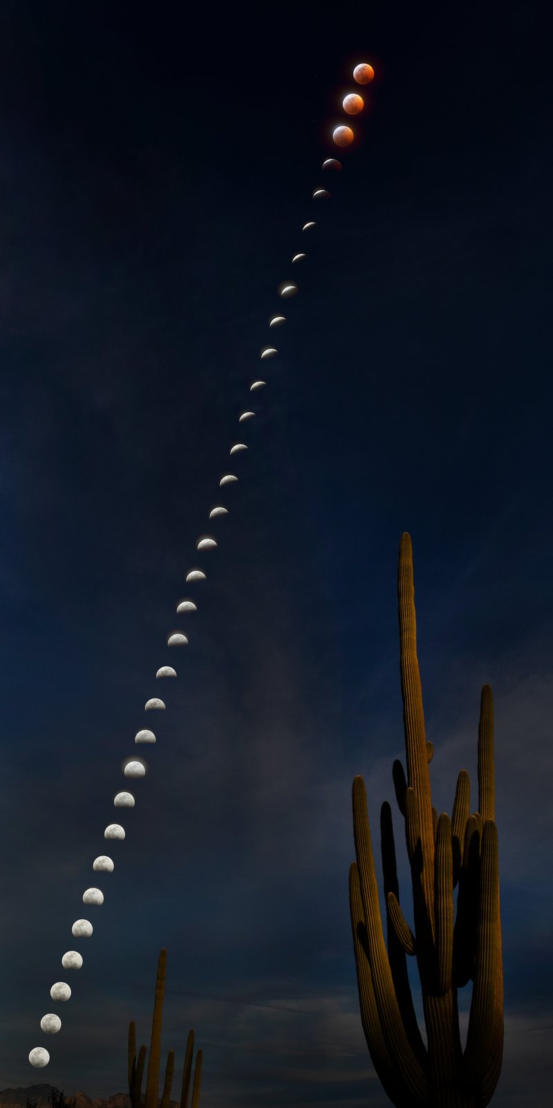 24e71528-f811-4faa-b8b9-16cd27ae76c4