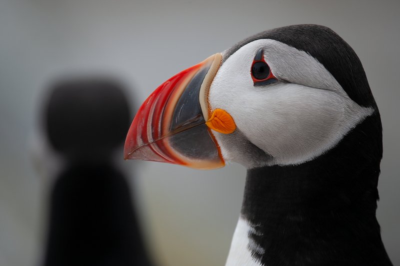 08c126b2-66c8-4c43-8616-fdca281a0e68