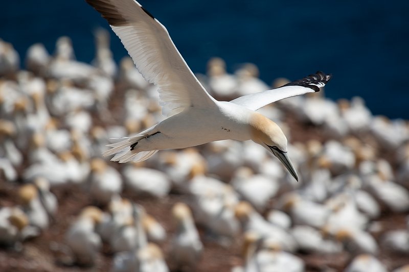 3c1ac81a-5a29-4ad2-8660-aade4ef55480