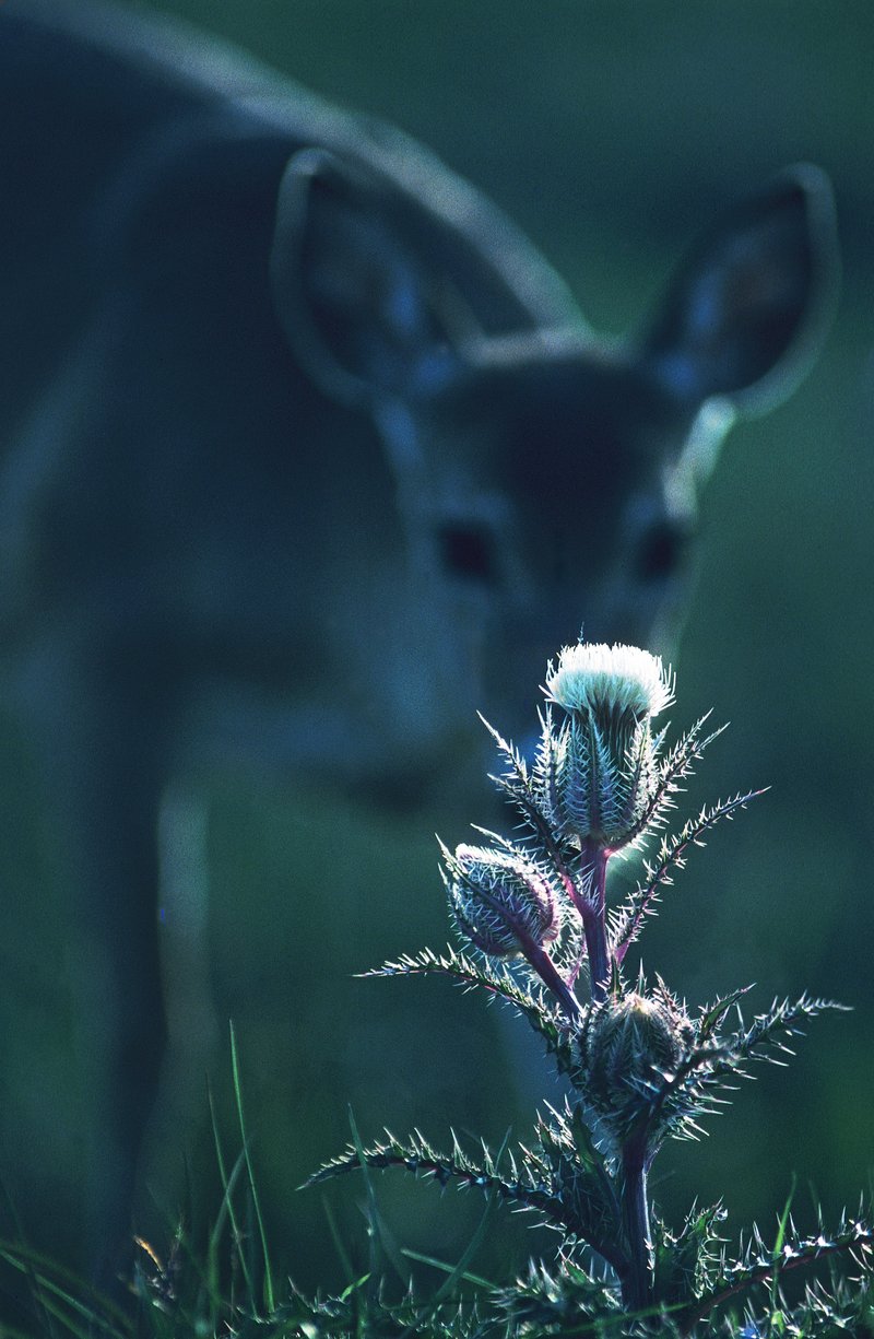 5d0e5058-70fd-4918-a672-2af82d69aa3f