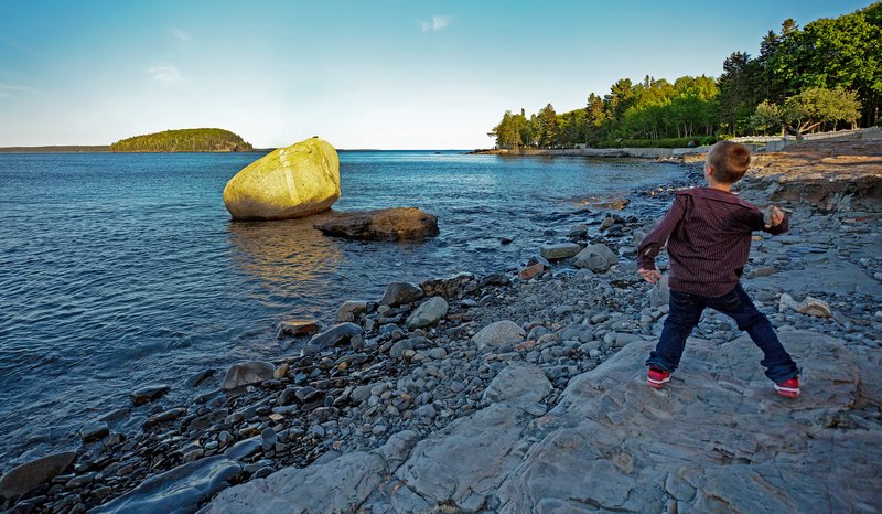 4a03de11-984e-4491-ad89-684447295543