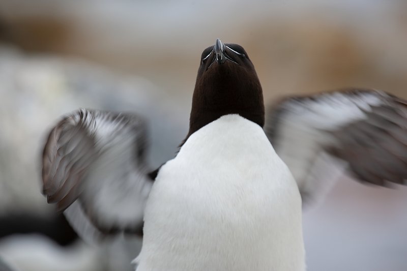 83fccba9-eb1e-44a6-846a-27dd950b4592