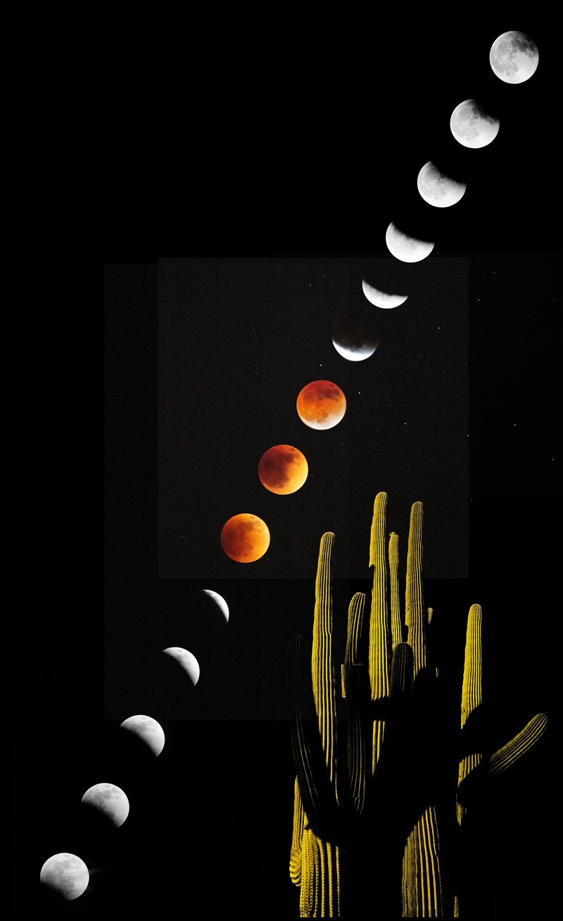 87701123-954e-4a78-8924-18c57426b041