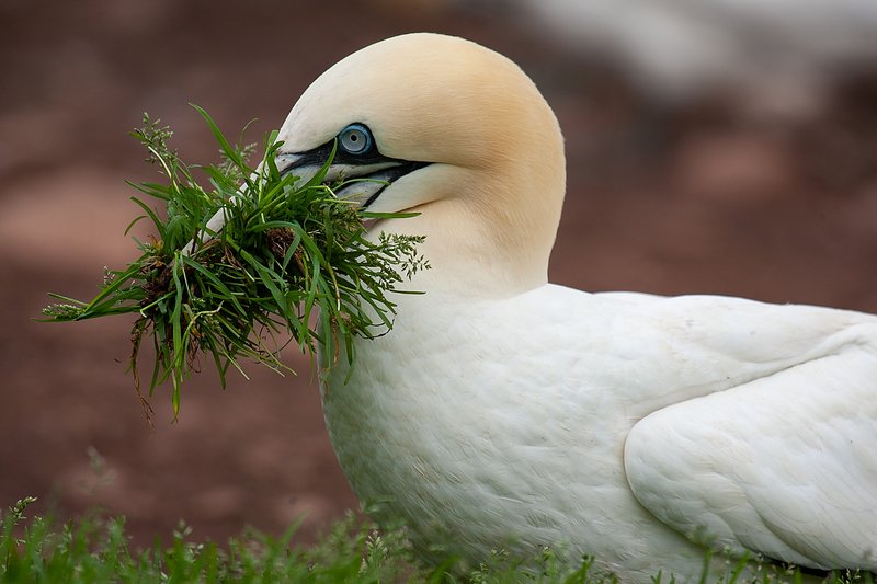 b11f8405-661f-41b0-af17-999433dffc36